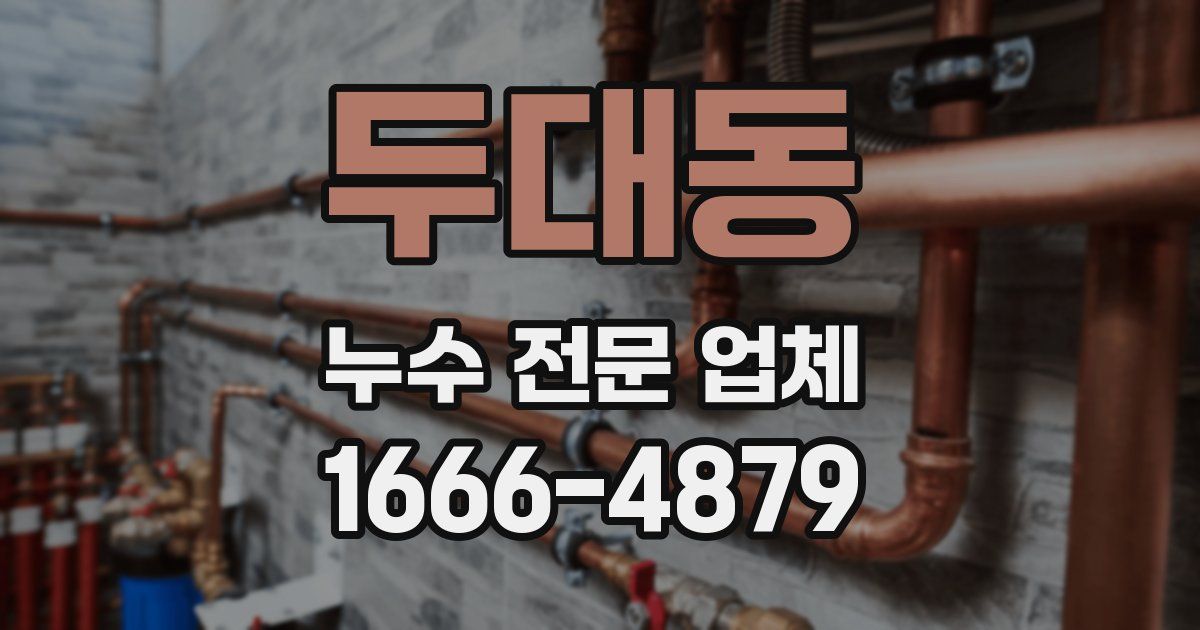 두대동 누수 전문 업체