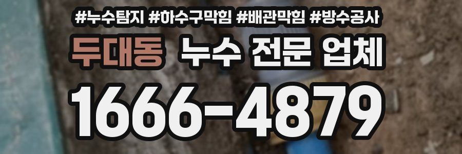 두대동 누수 전문 업체