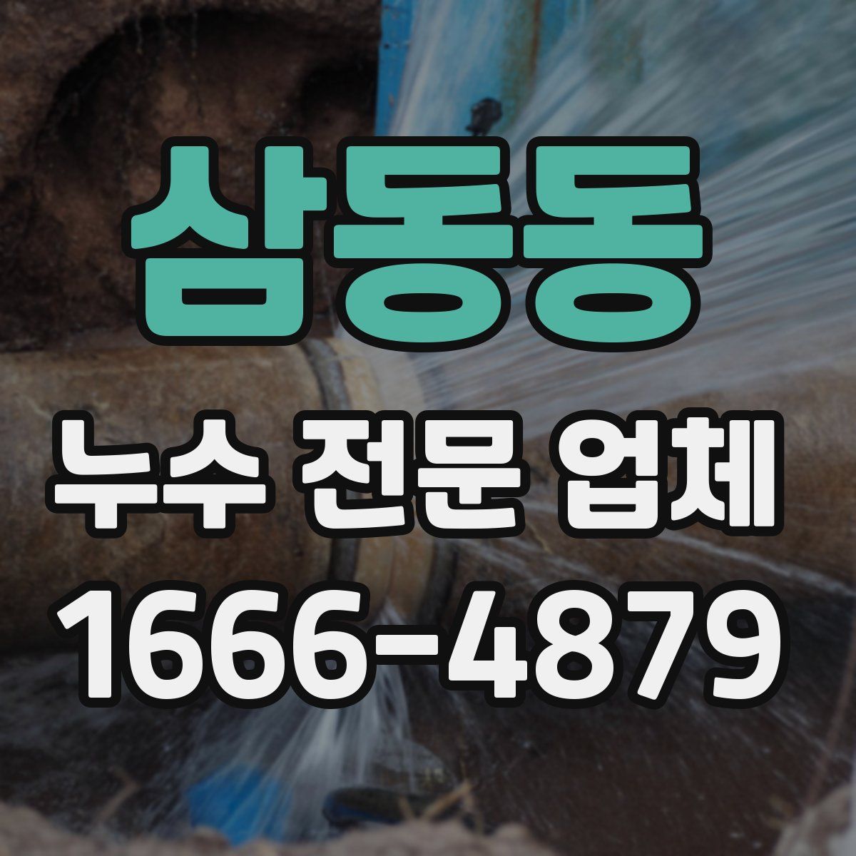 삼동동 누수 전문 업체