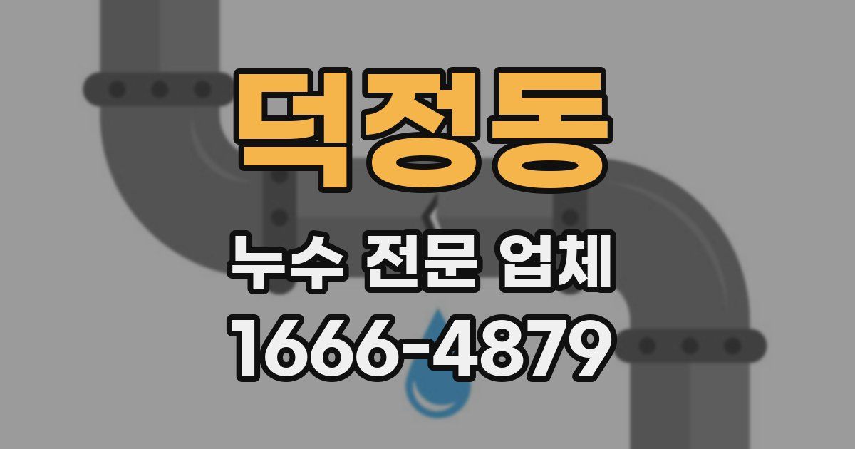 덕정동 누수 전문 업체