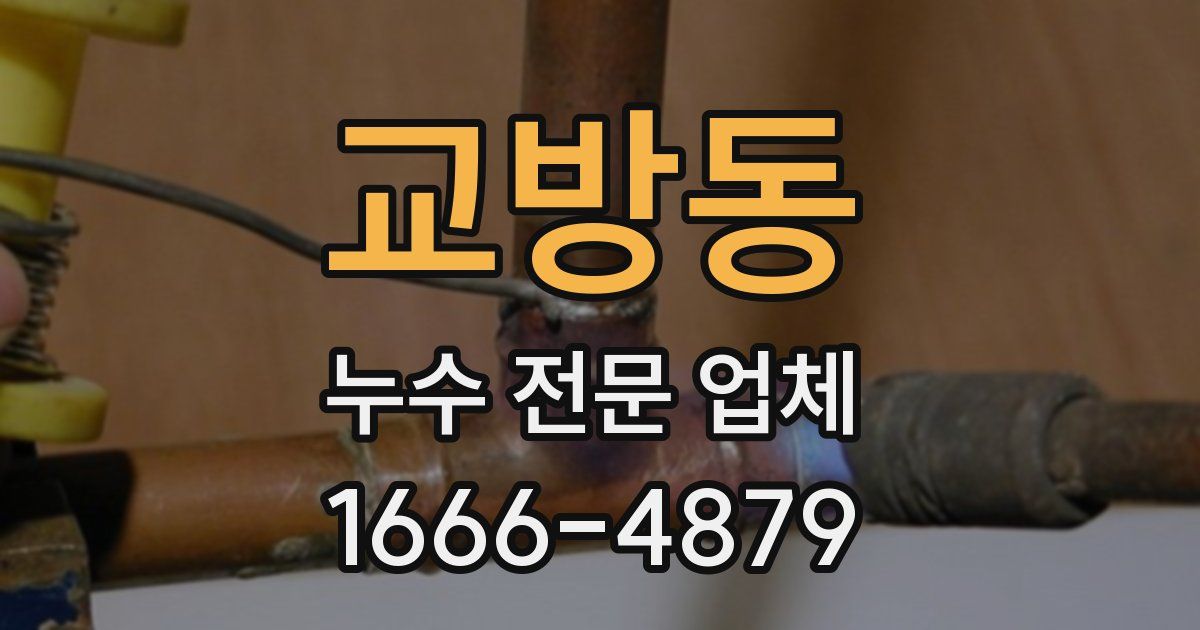 교방동 누수 전문 업체
