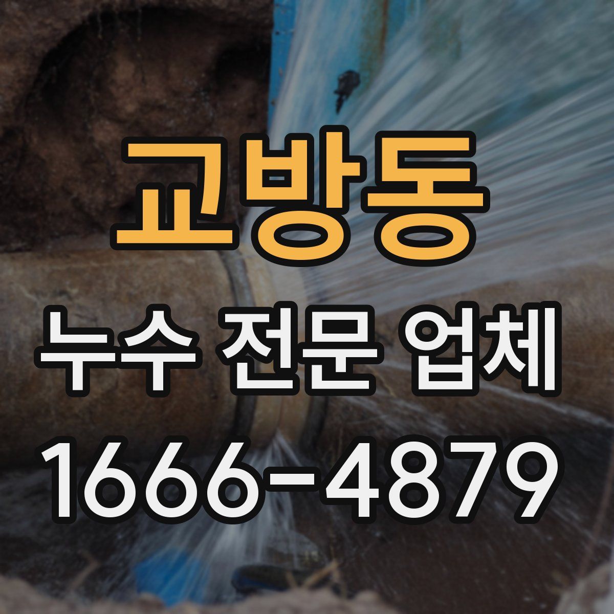 교방동 누수 전문 업체