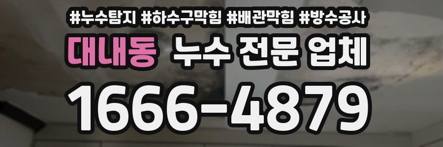 대내동 누수 전문 업체