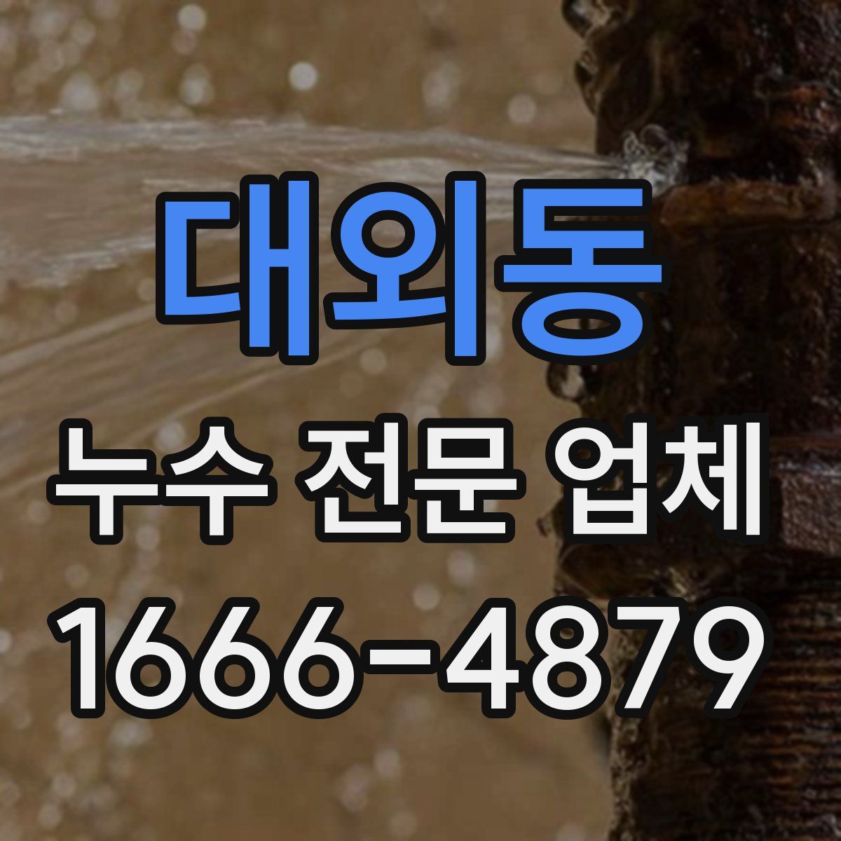 대외동 누수 전문 업체