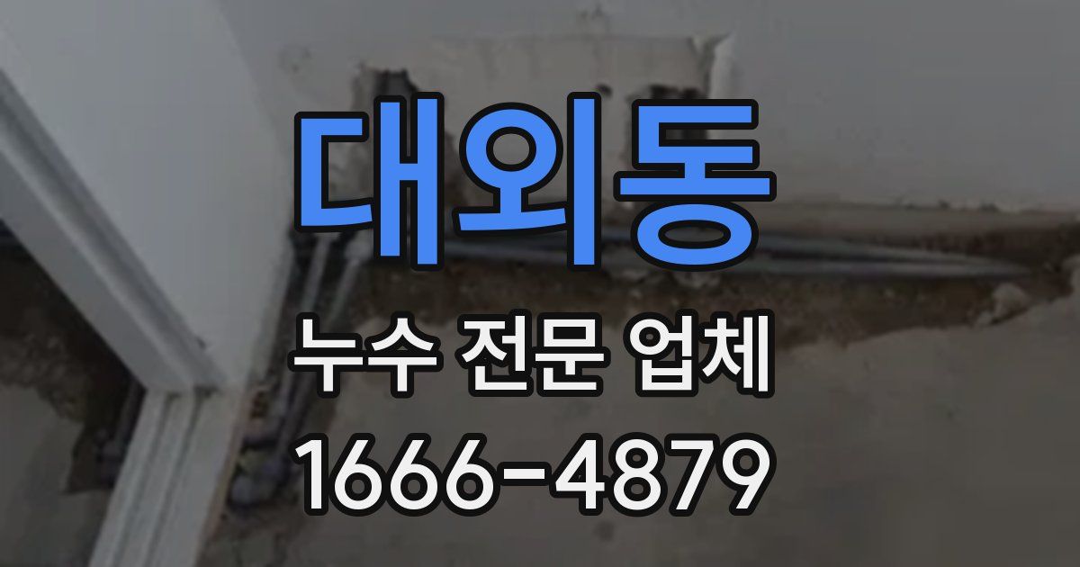 대외동 누수 전문 업체
