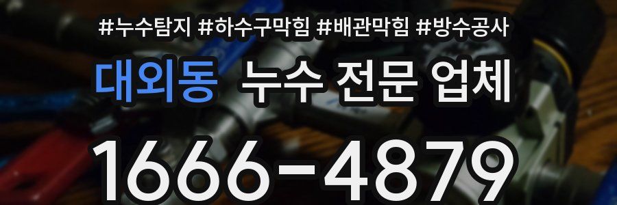 대외동 누수 전문 업체