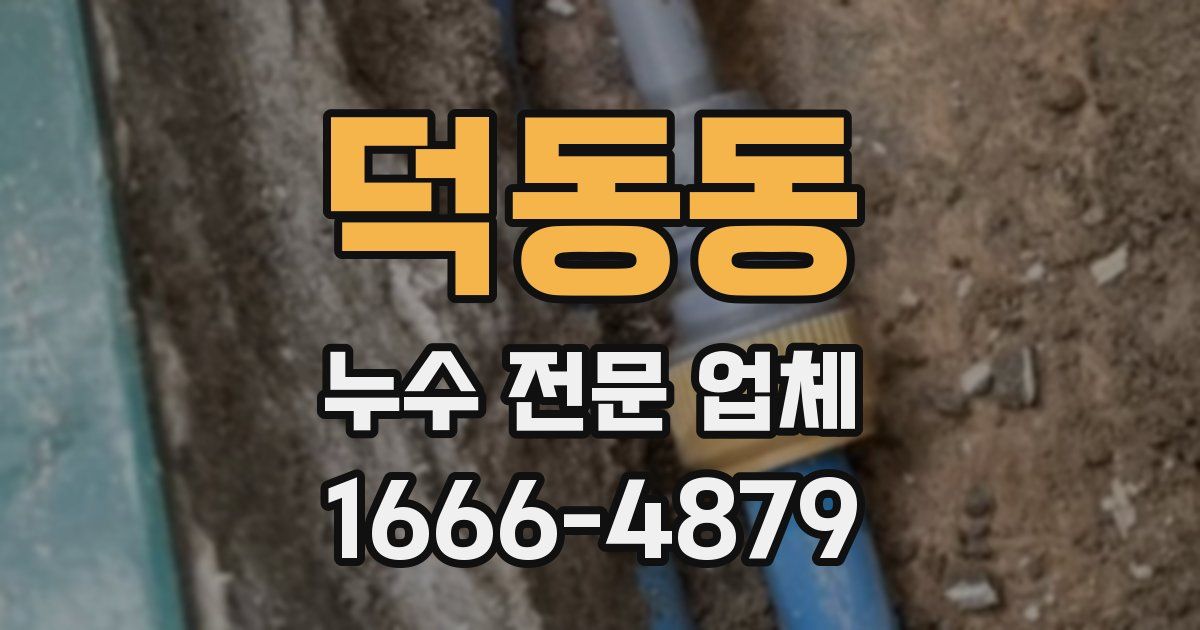 덕동동 누수 전문 업체