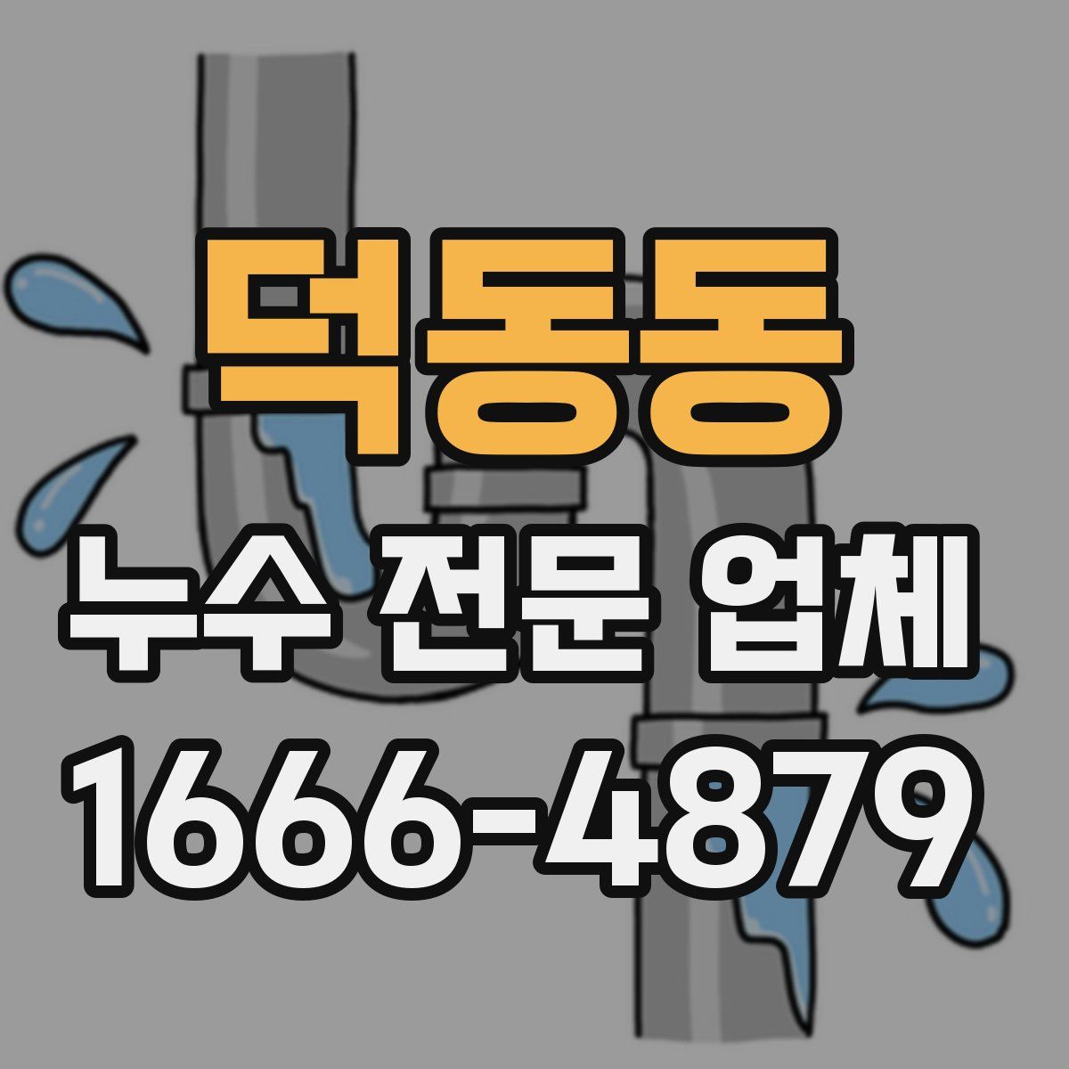덕동동 누수 전문 업체