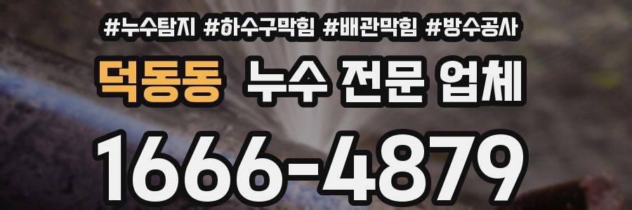 덕동동 누수 전문 업체