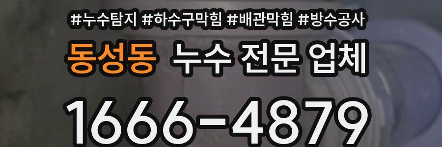 동성동 누수 전문 업체