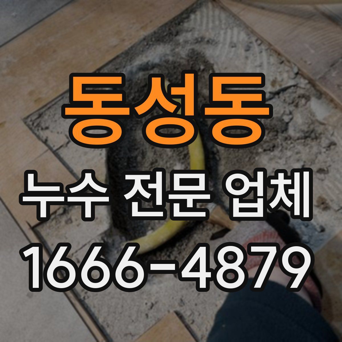 동성동 누수 전문 업체