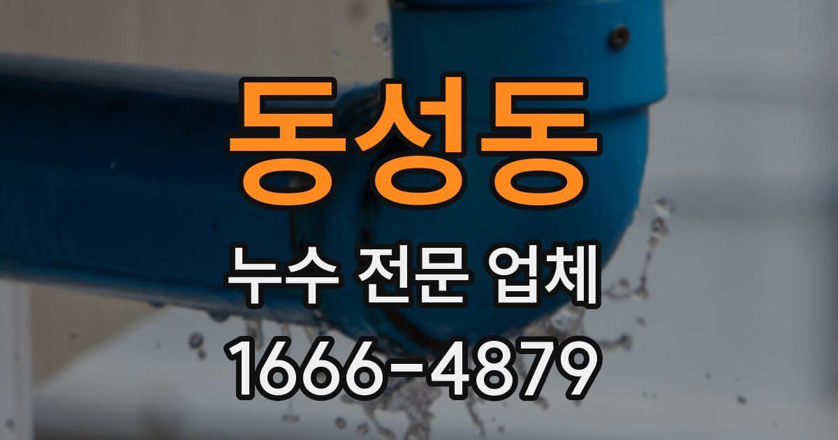 동성동 누수 전문 업체