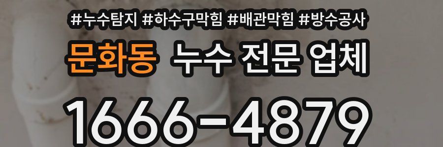 문화동 누수 전문 업체