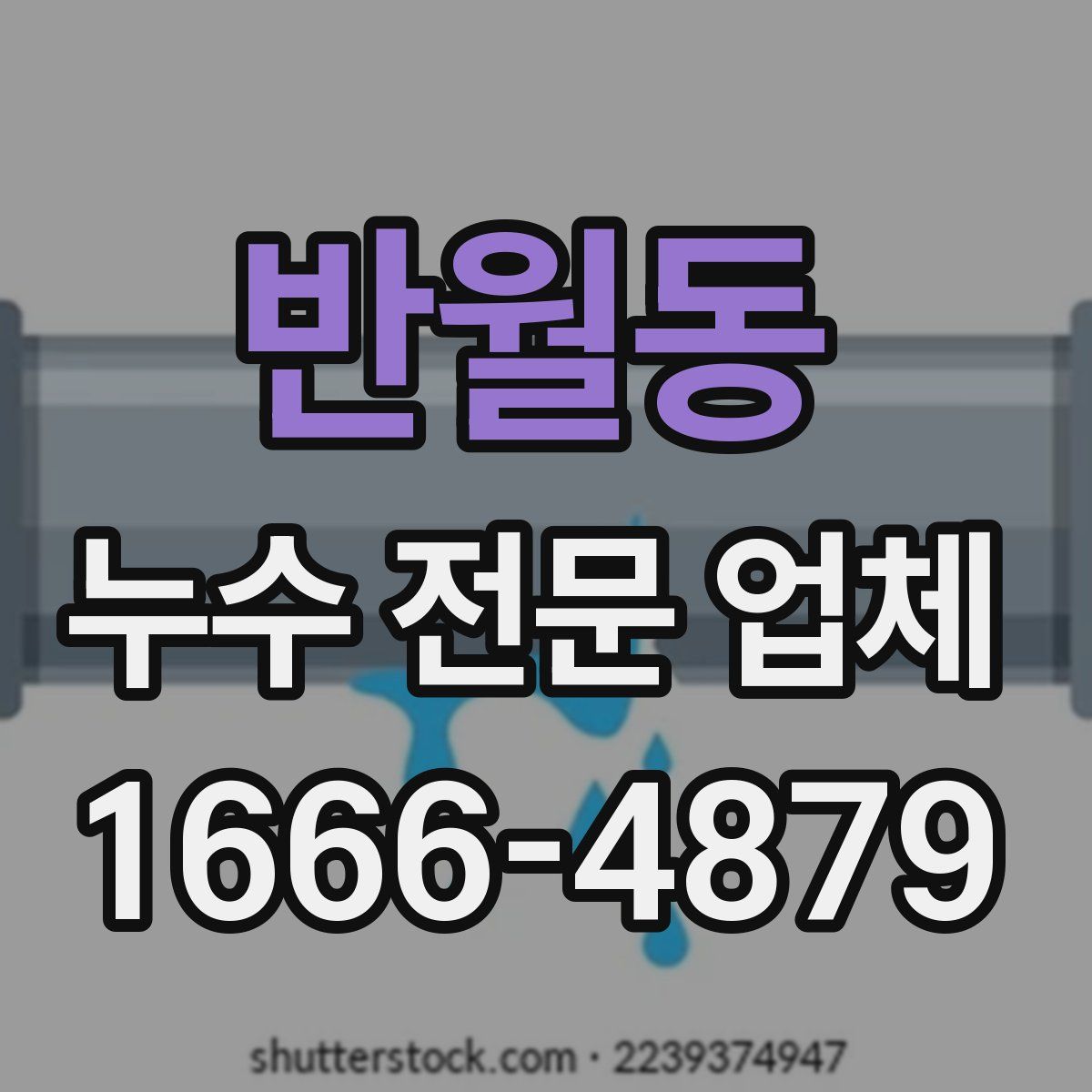 반월동 누수 전문 업체