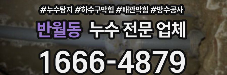 반월동 누수 전문 업체
