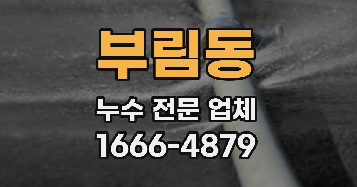 부림동 누수 전문 업체