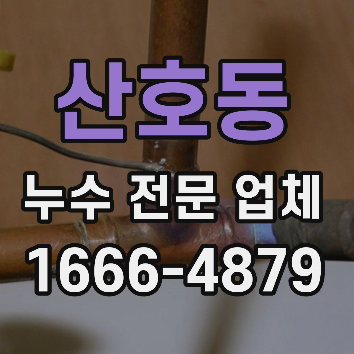 산호동 누수 전문 업체