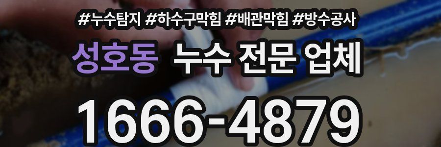 성호동 누수 전문 업체