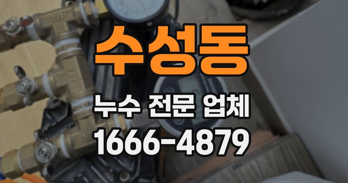 수성동 누수 전문 업체