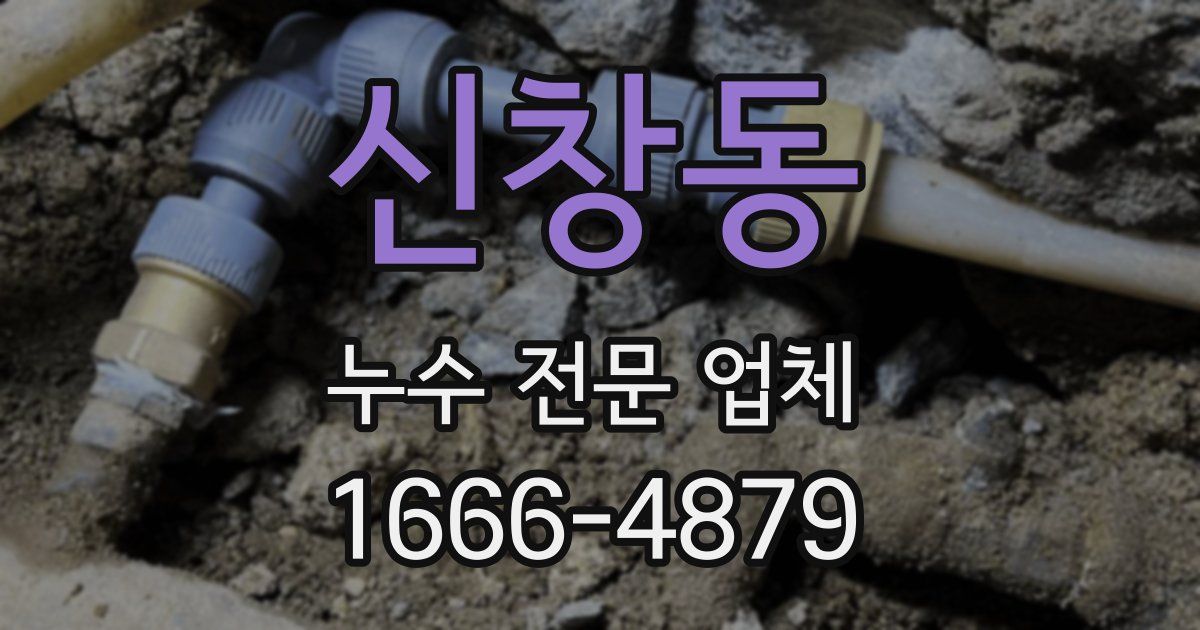 신창동 누수 전문 업체