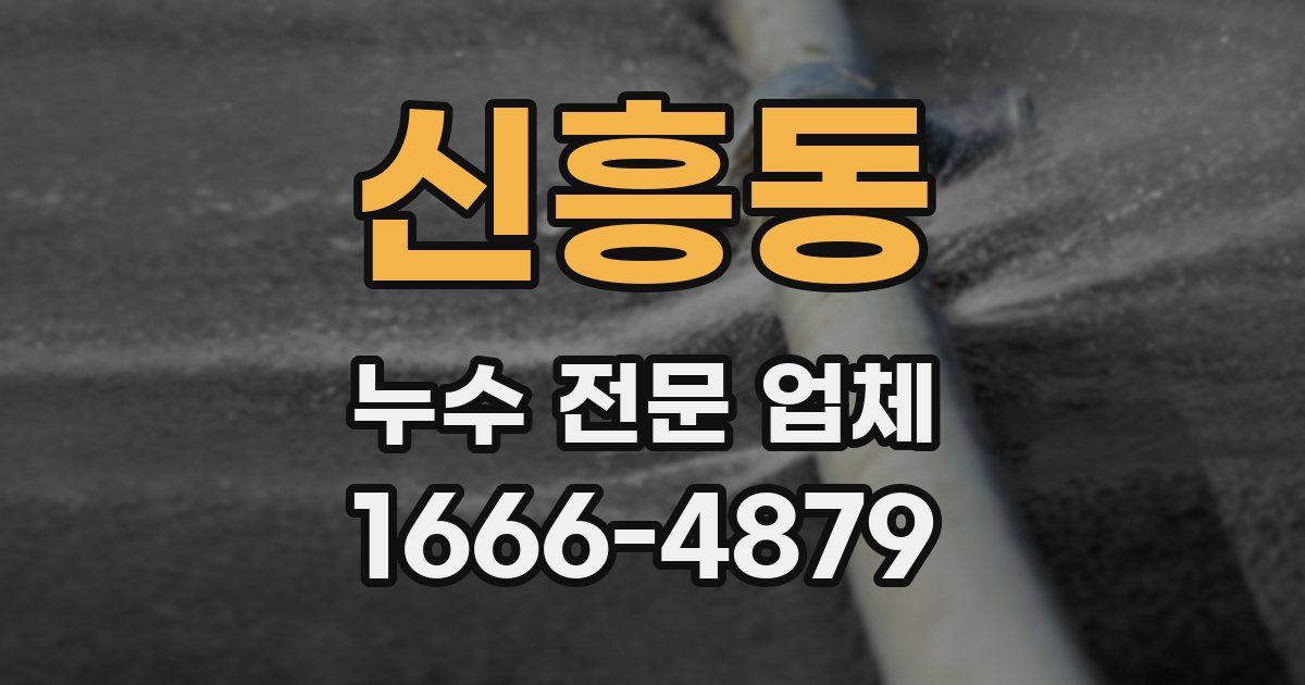 신흥동 누수 전문 업체
