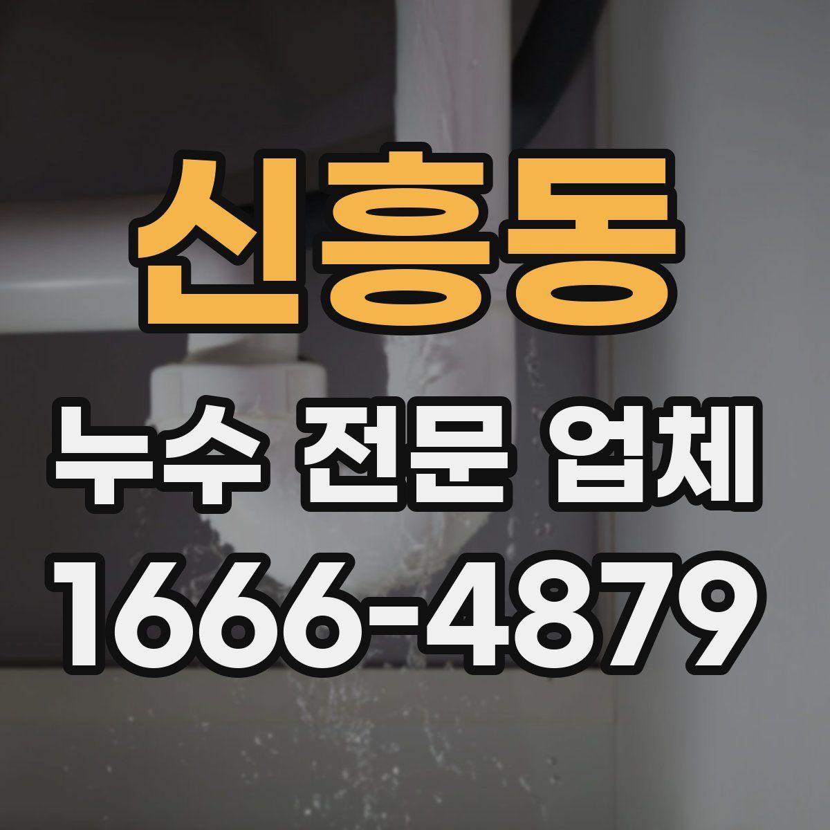 신흥동 누수 전문 업체