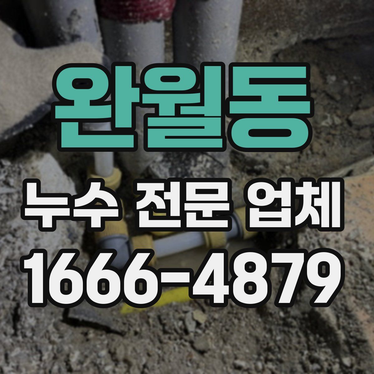완월동 누수 전문 업체