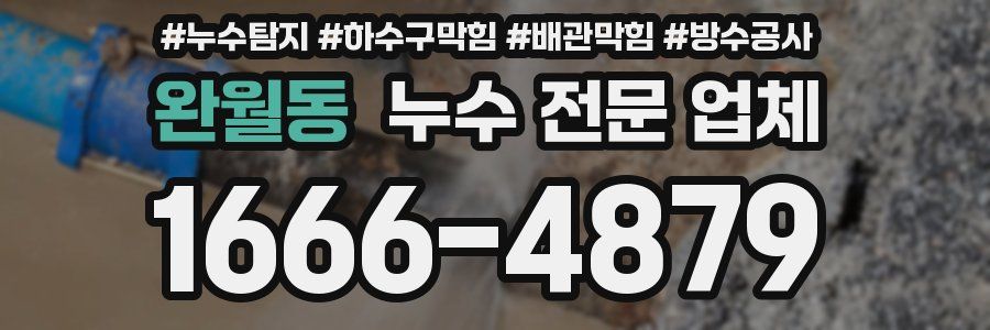 완월동 누수 전문 업체