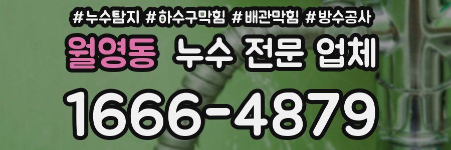 월영동 누수 전문 업체