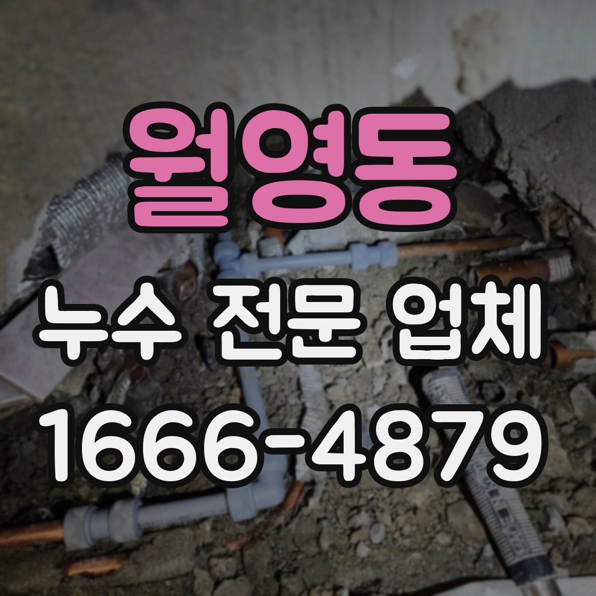 월영동 누수 전문 업체