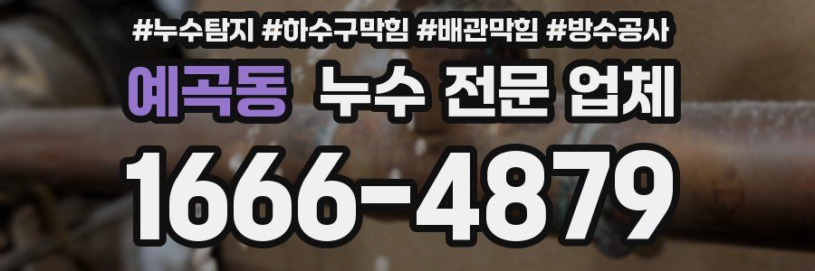 예곡동 누수 전문 업체