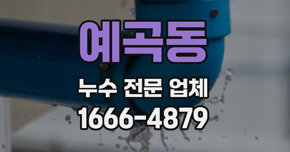 예곡동 누수 전문 업체