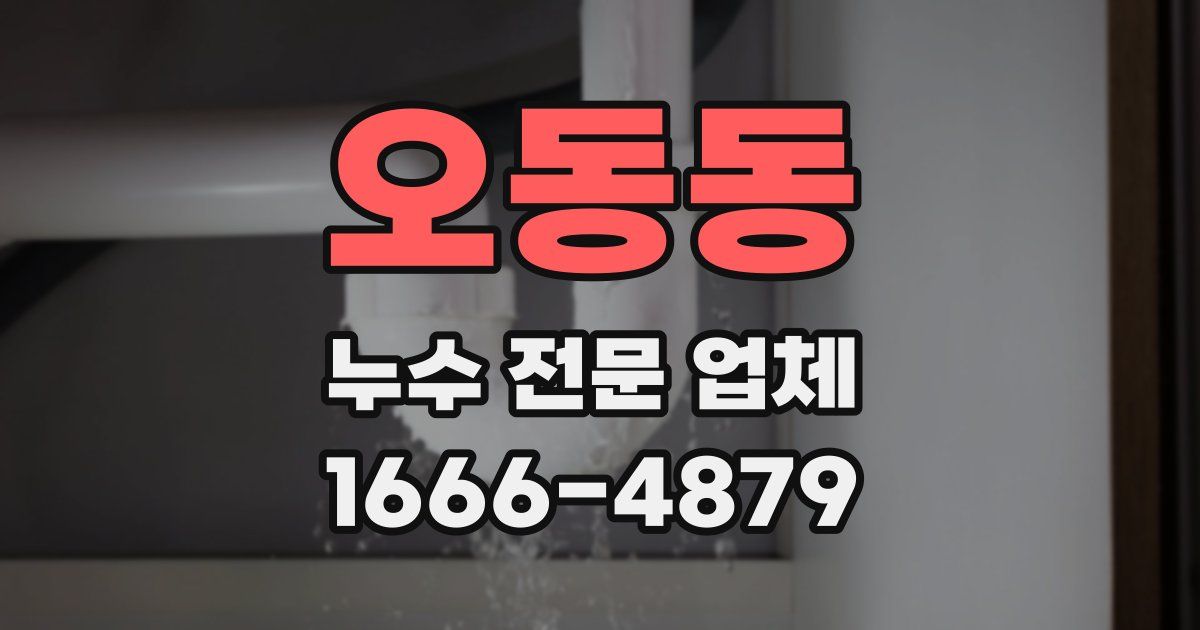 오동동 누수 전문 업체