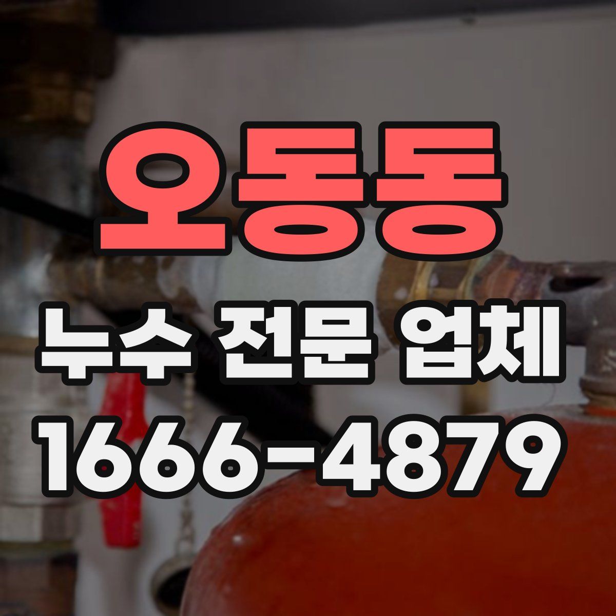 오동동 누수 전문 업체