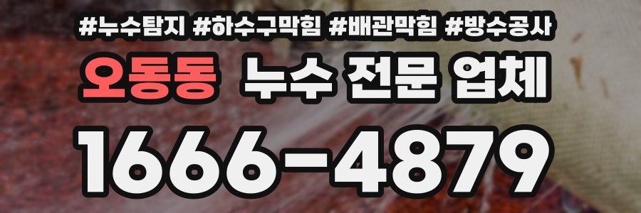 오동동 누수 전문 업체