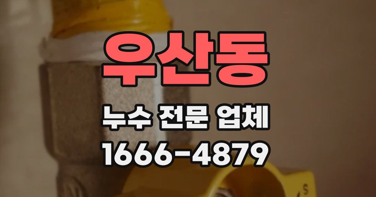 우산동 누수 전문 업체