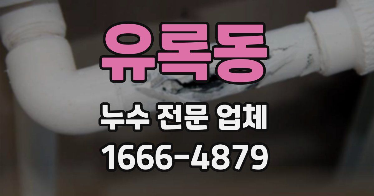 유록동 누수 전문 업체