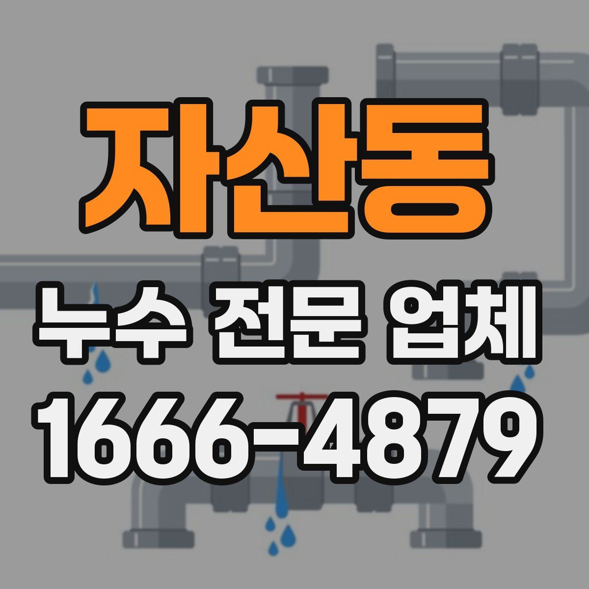 자산동 누수 전문 업체