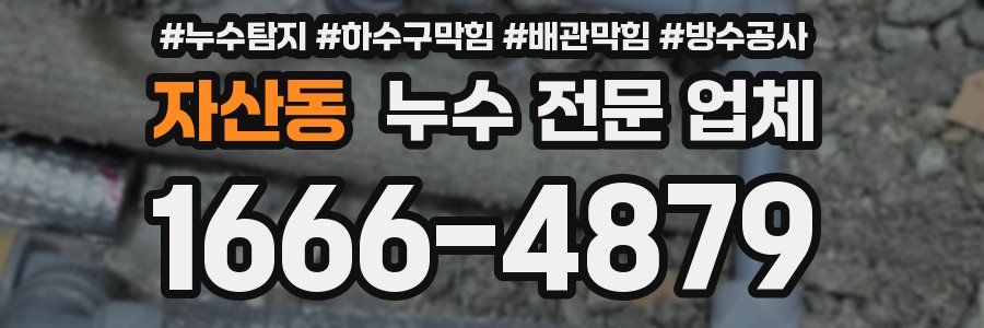 자산동 누수 전문 업체