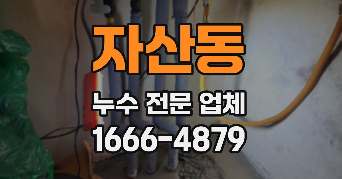 자산동 누수 전문 업체