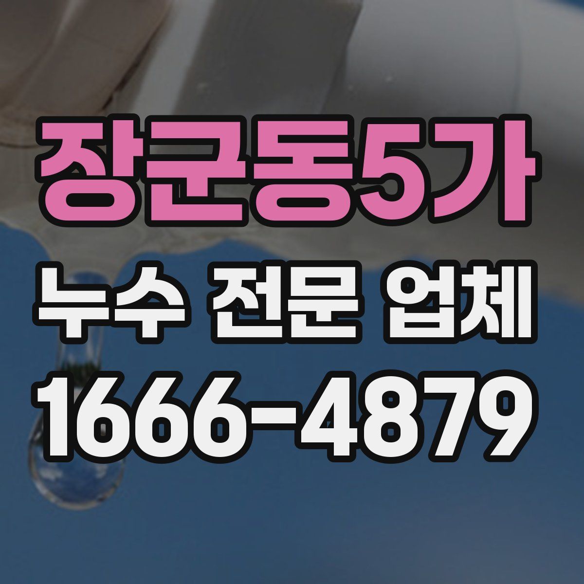 장군동5가 누수 전문 업체