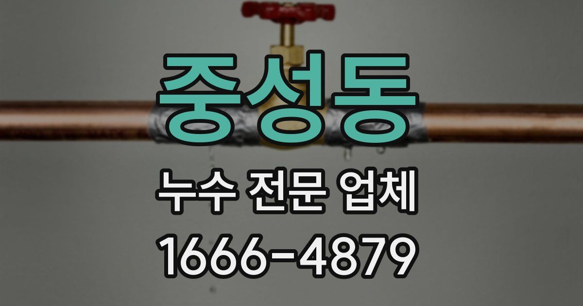 중성동 누수 전문 업체