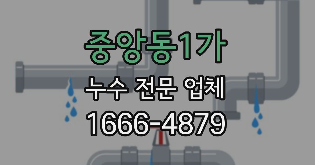 중앙동1가 누수 전문 업체