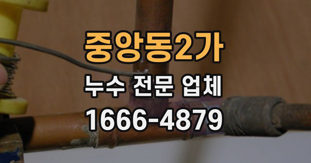 중앙동2가 누수 전문 업체