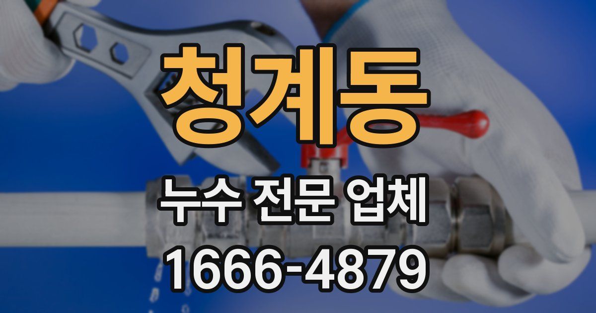 청계동 누수 전문 업체