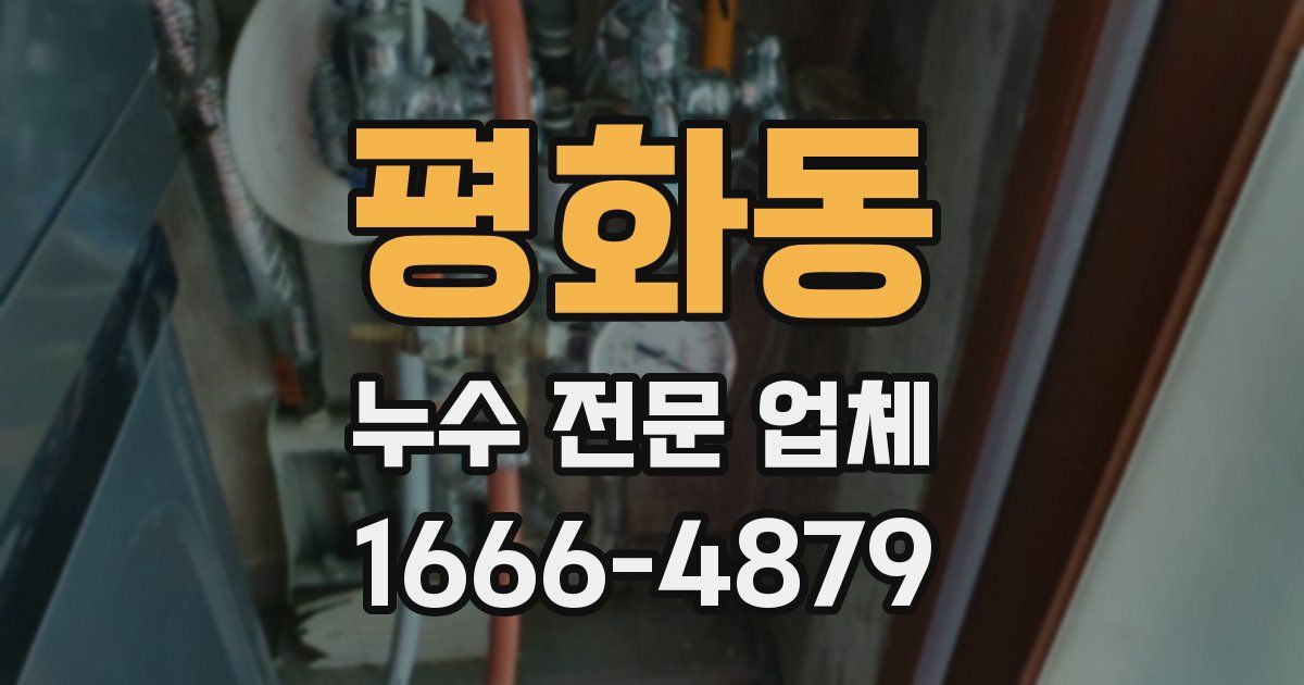 평화동 누수 전문 업체