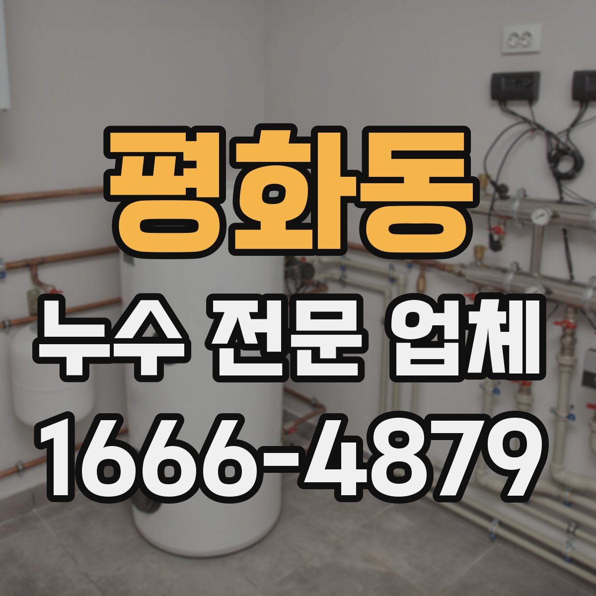 평화동 누수 전문 업체