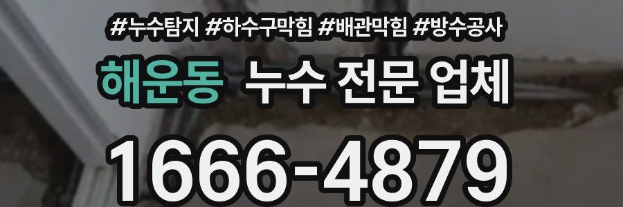 해운동 누수 전문 업체