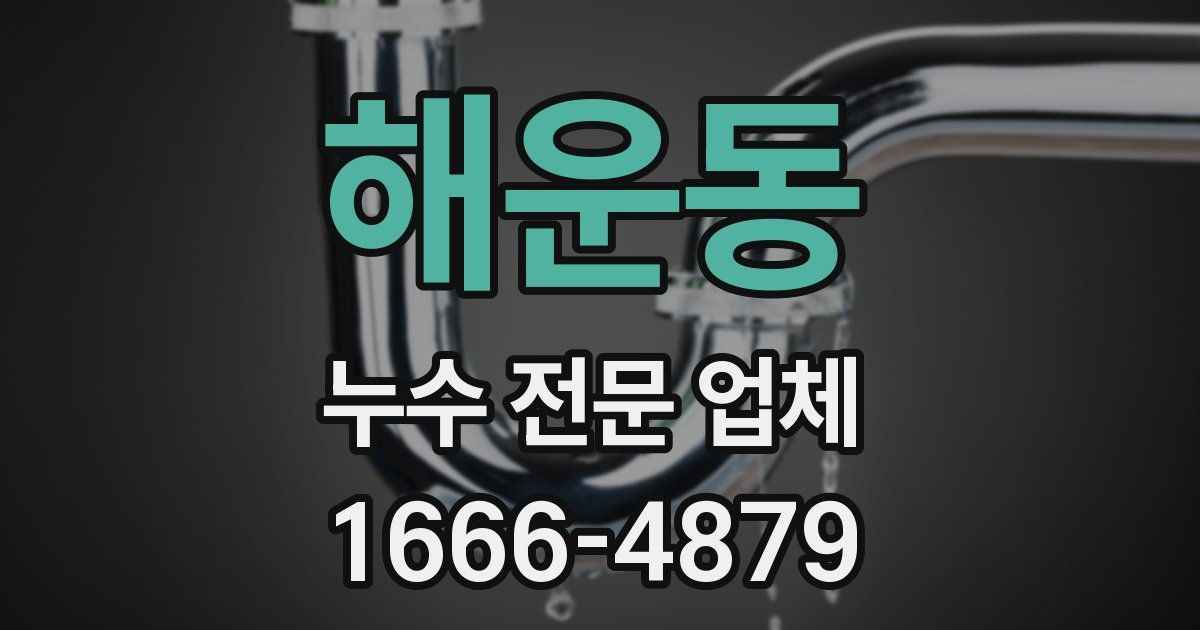 해운동 누수 전문 업체