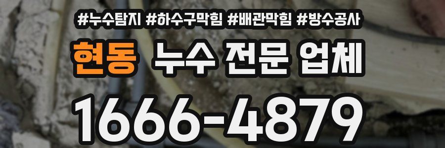 현동 누수 전문 업체